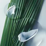 Aveda Botanical Repair Intensive Strengthening Masque Light маска для волос восстанавливающая 150 мл — фото 2