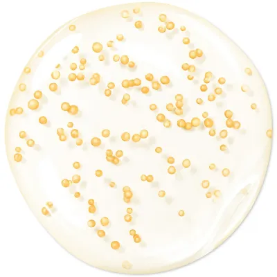 Сыворотка для лица Serum GUERLAIN Abeille Royale Youth Watery Oil