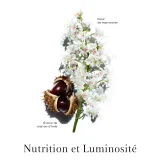 Clarins Nutri-Lumiere ревитализирующая эссенция для лица 200 мл — фото 2