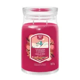 Свеча ароматическая Yankee Candle Signature Santa On Skis большая в банке, два фитиля, соевый воск — фото 1