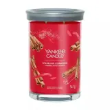 Свеча ароматическая Yankee Candle Signature Sparkling Cinnamon тумблер с двумя фитилями, до 100 часов, 567 г — фото 1