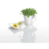 Villeroy & Boch Кружка NewWave Caffe 250 мл — фото 4