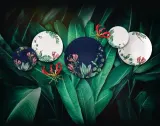 Villeroy & Boch Тарелка для завтрака Avarua Dark 22 см — фото 4