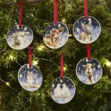Royal Worcester Набор из 6 елочных вешалок Wrendale Designs 7 см, устойчивые — фото 5