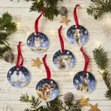 Royal Worcester Набор из 6 елочных вешалок Wrendale Designs 7 см, устойчивые — фото 6