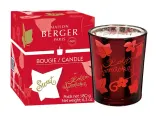 Maison Berger Paris Свеча Lolita Sweet 180 г — фото 1
