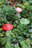 Декоративная свеча &K Amsterdam dekoracyjna Mushroom Dots, воск — фото 6