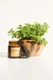Ароматическая свеча Really Nice Things zestaw wiec Tomato Leaf & Oregano 2 x, воск, оранжевый — фото 3