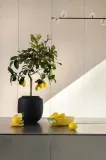 Чашка с блюдцем Byon Lemon, керамика, 250 мл, жёлтый — фото 3