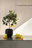 Салатник Byon Lemon, каменная керамика, жёлтый — фото 5