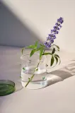 Контейнер для хранения продуктов Octaevo Agave S, стекло — фото 2