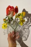 Ваза Seletti Love in Bloom, стекло, 16,5 см — фото 4