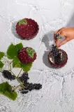 Салатник Byon Bowl Grape, керамика — фото 3