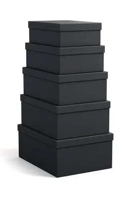 Набор коробок для хранения Bigso Box of Sweden Joel 5-pack, ДВП