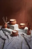 Ароматический диффузор Paddywax — фото 5
