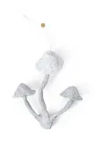 Новогоднее украшение Ferm Living Mushroom Ornament, 5 см — фото 1