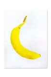 Постер Donkey Banana 30 40 см — фото 1