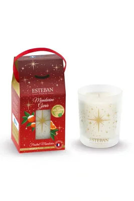 Новогоднее украшение Esteban swieca zapachowa Frosted Mandarin 180 г, разноцветный