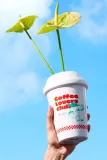 Ваза Fluid Market Cup of Coffee 0, керамика, 19,5 см, разноцветный — фото 4