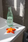 Открывалка Doiy Ocean Dreams, Starfish, нержавеющая сталь, 10,6 6,8 см, оранжевый — фото 4
