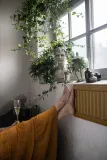 Бокал Byon, Bubbles, 240 мл, стекло — фото 4