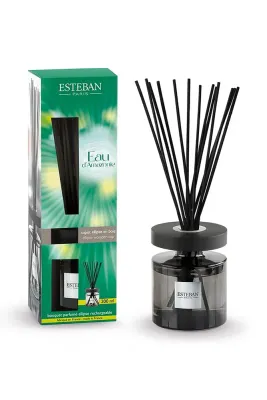 Ароматический диффузор Esteban 0,2 л Eau d'Amazonie kolor multicolor