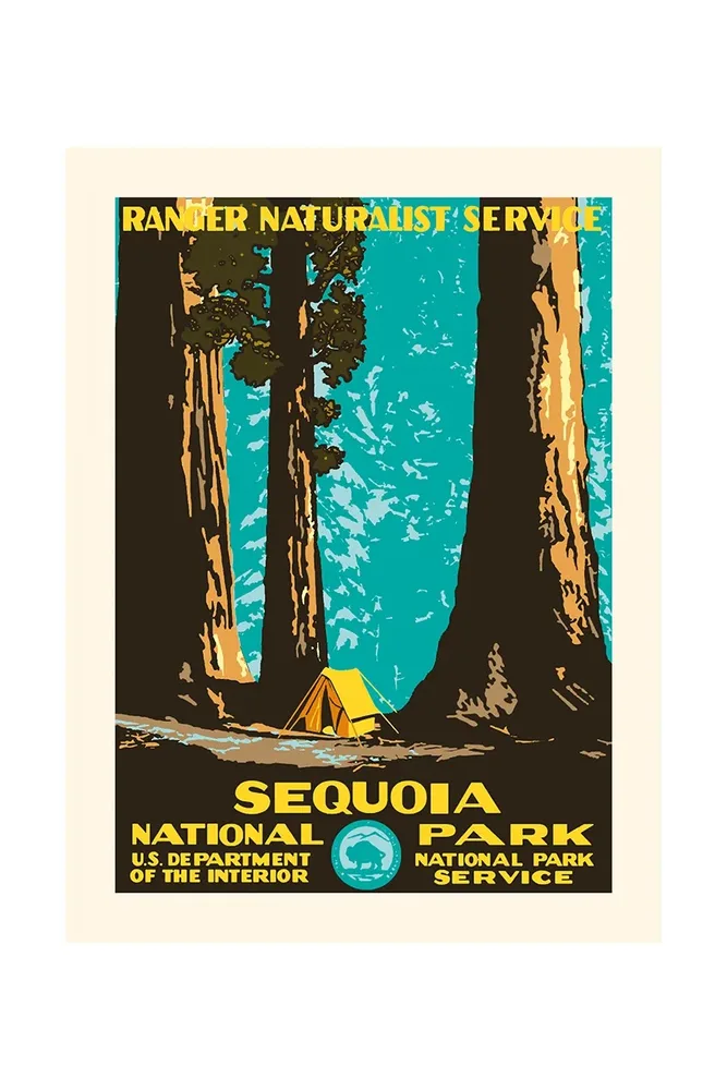 Постер Plakat dekoracja cienna Sequoia 30 40 см