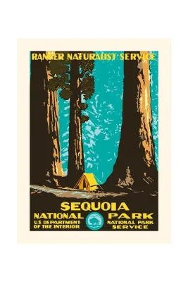 Постер Plakat dekoracja cienna Sequoia 30 40 см