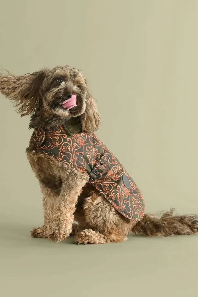 Плащ для собаки Barbour x Farm Rio