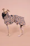 Плащ для собаки PAIKKA przeciwdeszczowy Visibility Raincoat — фото 6
