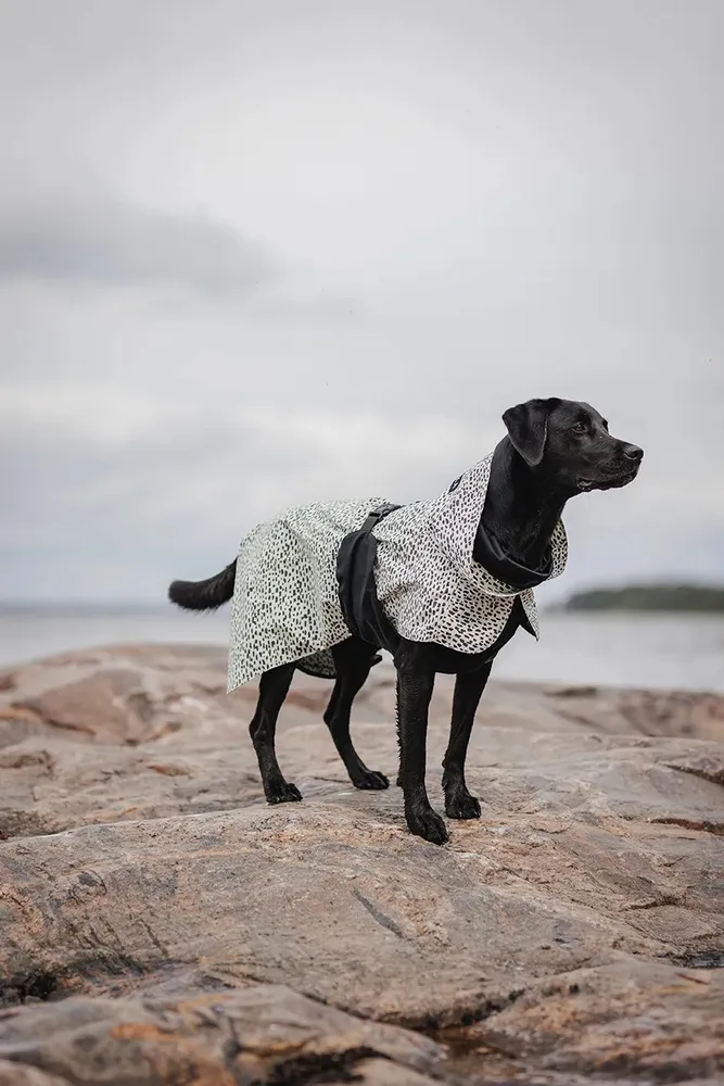 Плащ для собаки PAIKKA przeciwdeszczowy Raincoat 2.0