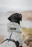 Плащ для собаки PAIKKA przeciwdeszczowy Raincoat 2.0 — фото 7