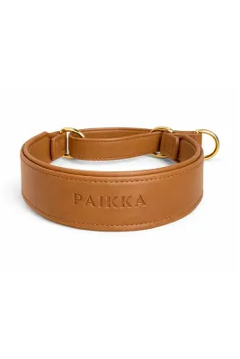 Ошейник для собаки PAIKKA XL 1031022