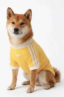 Футболка для собаки Adidas Originals Pet Cali KY8731
