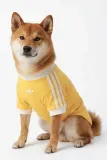 Футболка для собаки Adidas Originals Pet Cali KY8731 — фото 1